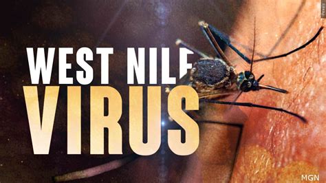 what time is it in ill|What to know about West Nile virus, the illness that sickened Dr .